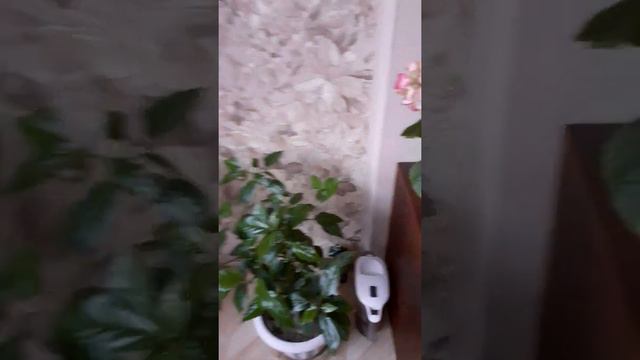 цветы плохо растут,рука тяжелая смотреть онлайн