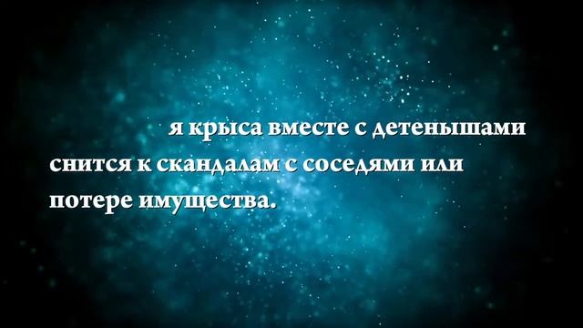 К чему снится большая крыса - Онлайн Сонник Эксперт смотреть онлайн