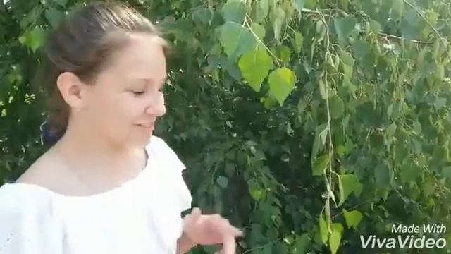 Я еду в кино!... (называется "Тарзан легенда") смотреть онлайн