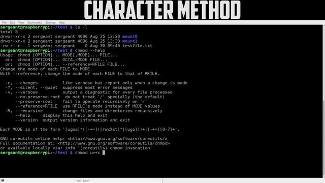 sudo Sergeant 06 - File Permissions смотреть онлайн