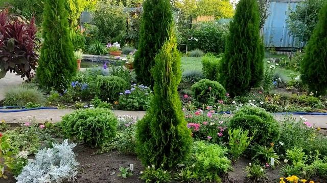 Мой сад в конце августа 2021 года. смотреть онлайн