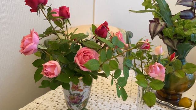 Утренний кофе, притча о слоне и кофейный скраб… смотреть онлайн