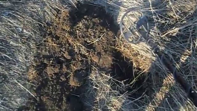 удачный коп на месте старого хутора с металлоискатель беркут 5 смотреть онлайн
