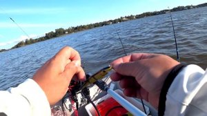 ЛОВЛЯ СУДАКА. ТРОЛЛИНГОВАЯ РЫБАЛКА НА ВОБЛЕРЫ И ПЛАНЕРЫ ! УЛОВИСТЫЕ ВОБЛЕРЫ RAPALA !