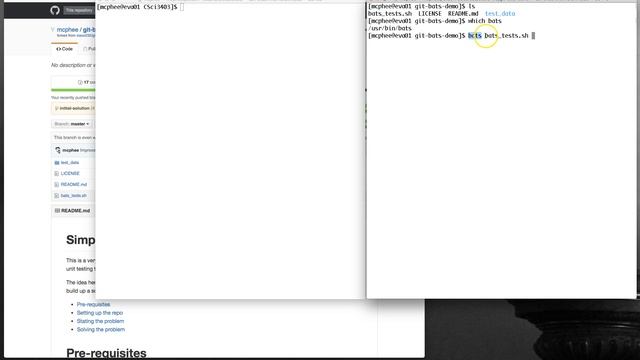 git-bats-demo solution, part 2 of 5 (testing with bats) смотреть онлайн