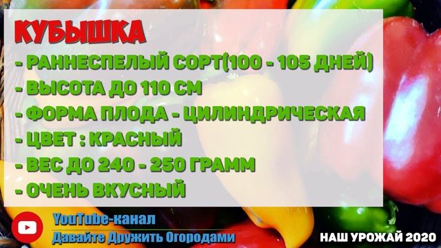 Перцы?️?️?️ и баклажаны???. Отличные сорта. Готовимся к новому сезону ! смотреть онлайн