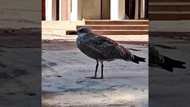 Природа в Фокусе