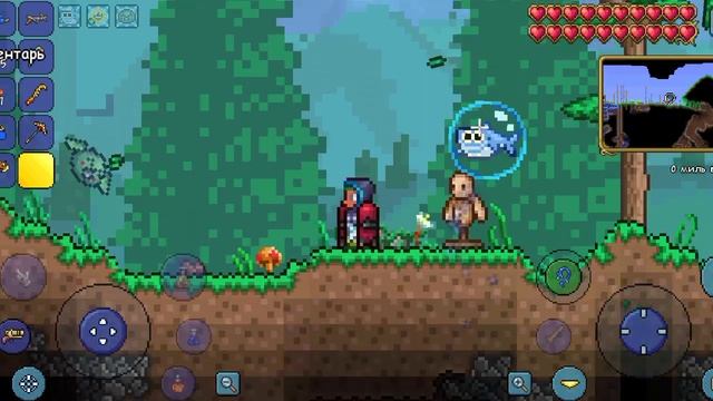 Terraria