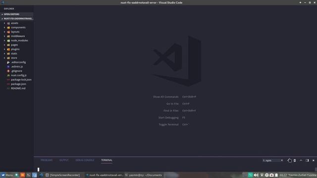 How to Fix EADDRNOTAVAIL Error in a Nuxt Project смотреть онлайн