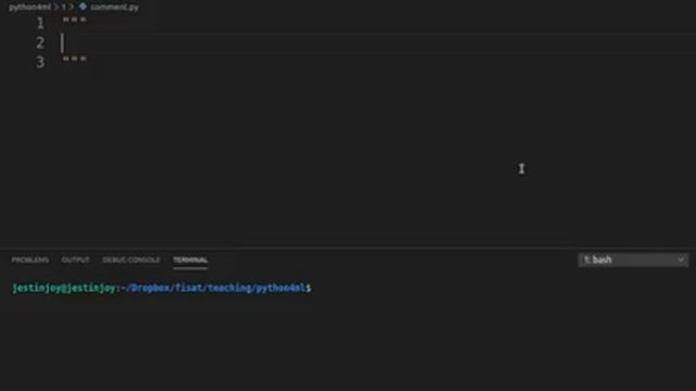 Module 1: Comments and Docstrings смотреть онлайн
