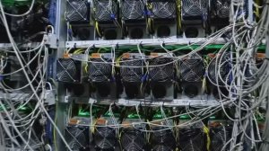 Самая большая МАЙНИНГ ферма в России! Какой доход!