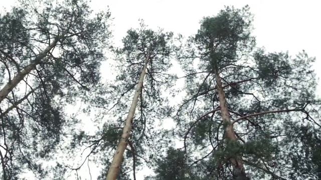 Зимняя песня ратного поля 2017 смотреть онлайн