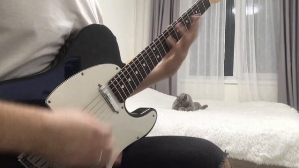 Periphery - Marigold (guitar cover by Yudin Alexandr)