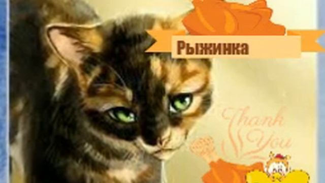 Какой ты кот воитель по знаку зодиака? смотреть онлайн