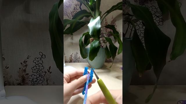 ✨️плетение из резинок браслет "обычный"✨️❤️ смотреть онлайн