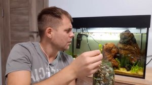 Бактериальная вспышка в аквариуме