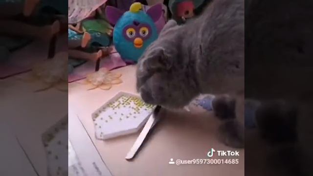 ХОЗЯЙКА смотреть онлайн