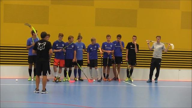 Chodovský trénink s Pixbem Wallenstam смотреть онлайн