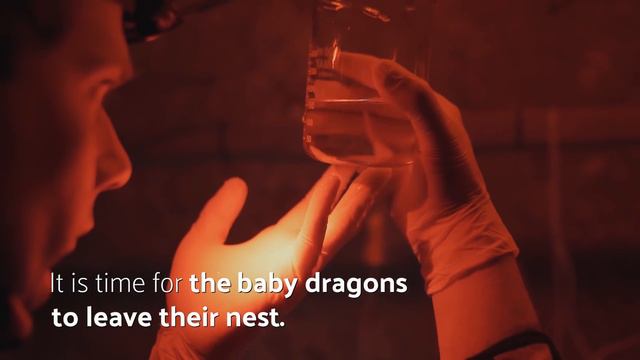 Meet the world-famous Baby dragons from Postojna Cave, Slovenia смотреть онлайн