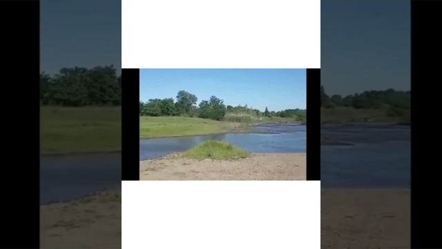 ПОЭТИЧЕСКИЙ ЧЕЛЛЕНДЖ «ТЕБЕ, МОЙ ЛАБИНСК ЭТИ СТРОКИ!» смотреть онлайн