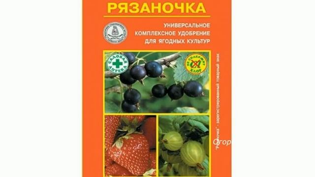 Обязательные покупки для сада.mp4 смотреть онлайн