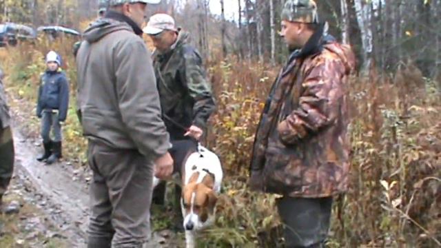 Гончатники под Колпаками смотреть онлайн