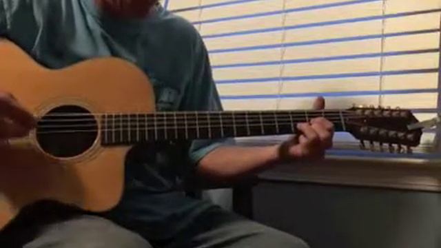 Tesla on a 12 String Taylor Guitar смотреть онлайн