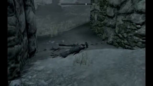 Skyrim infilza la donnauccello смотреть онлайн