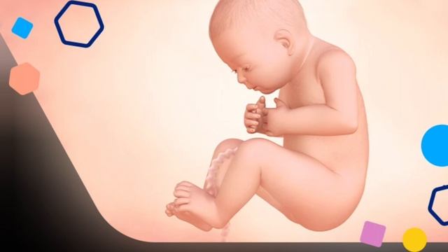 Java e 34 e Shtatzanise. Cfare pritet te ndodhe gjate kesaj jave? смотреть онлайн