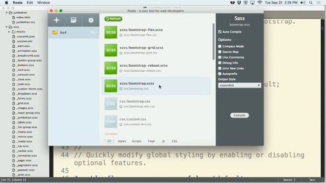 Bootstrap 4 and SASS - O'Reilly Web Programming смотреть онлайн