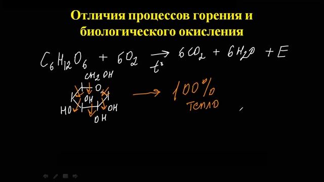 Лекция № 5. Часть 1. Введение в биоэнергетику. смотреть онлайн