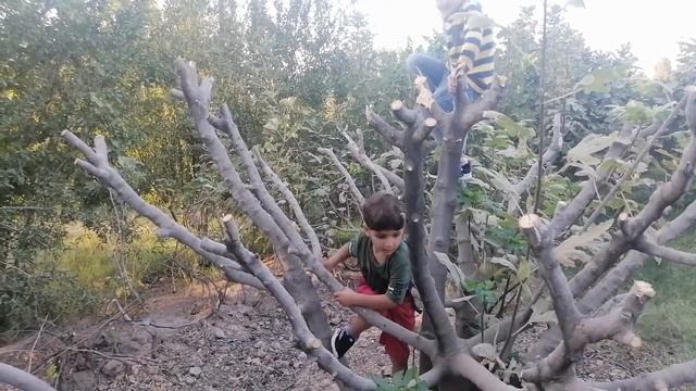 Garden life2 смотреть онлайн