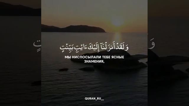 Best Quran. Очень красивое чтение корана смотреть онлайн