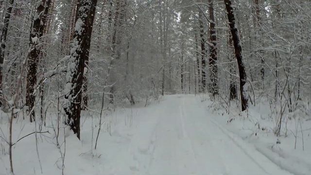 ЗИМНЯЯ СКАЗКА смотреть онлайн
