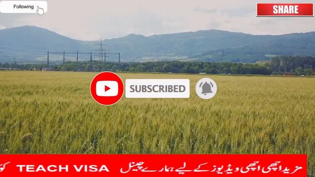 ITALY 2024 WORK VISA IN 150 EURO | Italy announces Decreto Flussi for 2023, 2024 смотреть онлайн