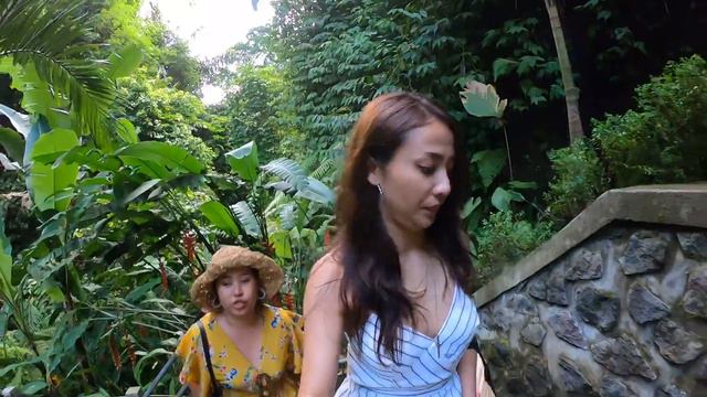 Tibumana Waterfall Bali. смотреть онлайн