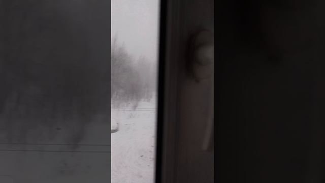 Метель из окна видно, снег, машины, автомобили, Щекино, тульская область