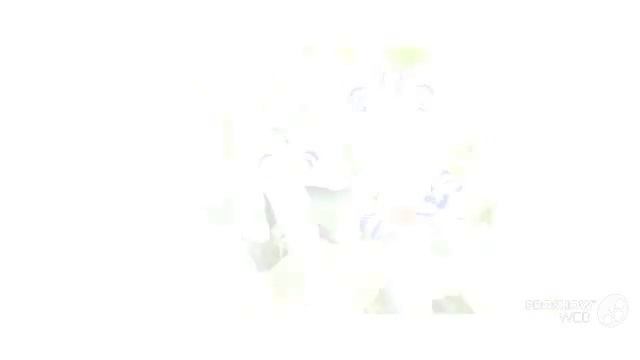 Neomarica - garden plants смотреть онлайн