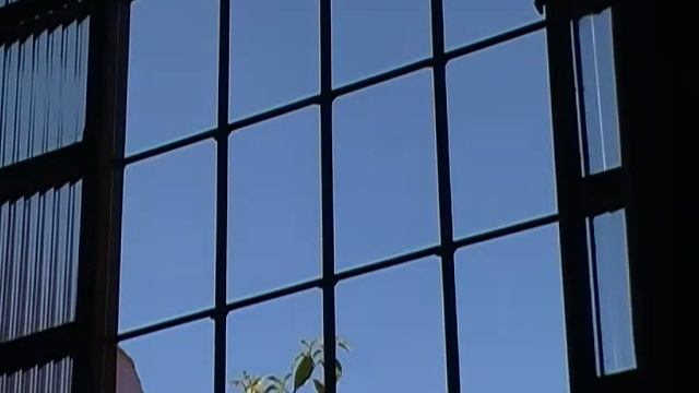 Time lapse smx-f44 смотреть онлайн