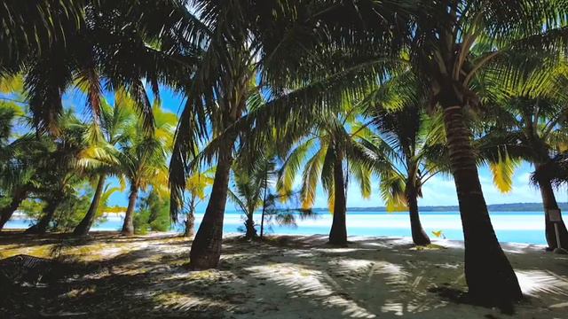 Jazz Music at the Beach, Smooth Bossa Nova Music, Saxophone Jazz Music смотреть онлайн