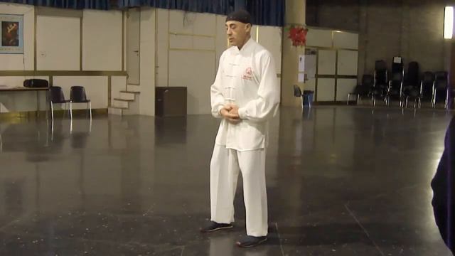 Corsi di Tai Chi Chuan, Qi Gong a Roma -- M° Flavio Daniele (Gennaio 2013) IX° смотреть онлайн