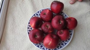 Яблоки Джонатан - один из любимых сортов