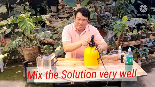 Plant Caretips : Neem Oil Application and its properties смотреть онлайн