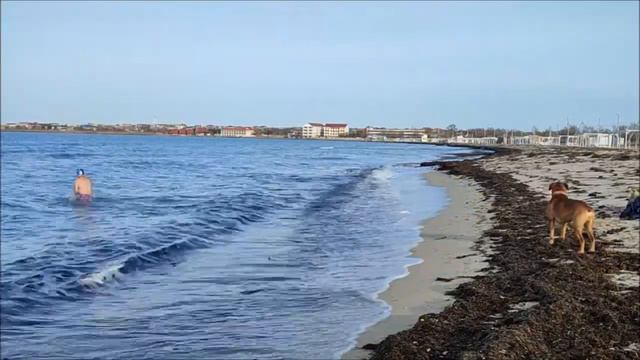 Мой фильм: - 1 Февраля. Навстречу солнцу... смотреть онлайн