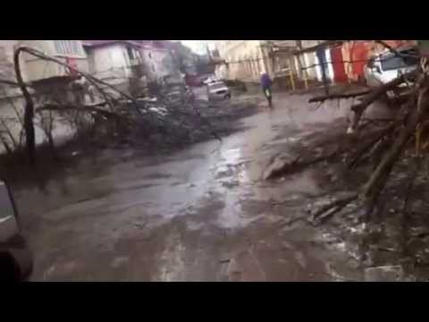 Олединение