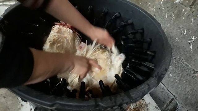 Перосъемная машина! Своими руками! смотреть онлайн