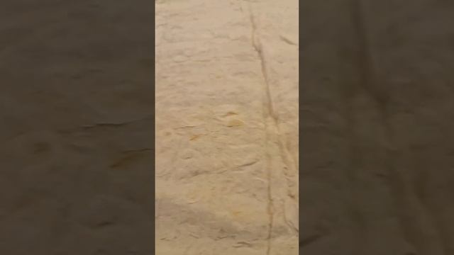 Мимоза в лаваше смотреть онлайн