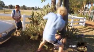 упал в кактус, жесткий прикол