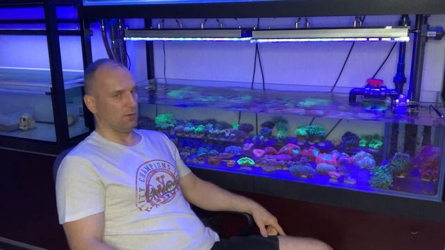 «Рифовый Аквариум» Начало. Часть 1 смотреть онлайн