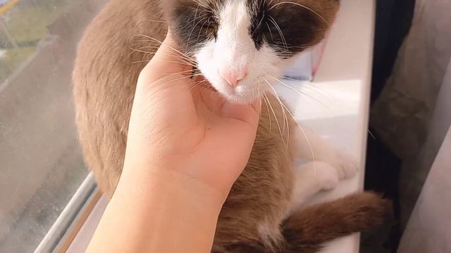 Мини-влог/Как я в первые нарастила ресницы/реакция моих подруг♡ смотреть онлайн